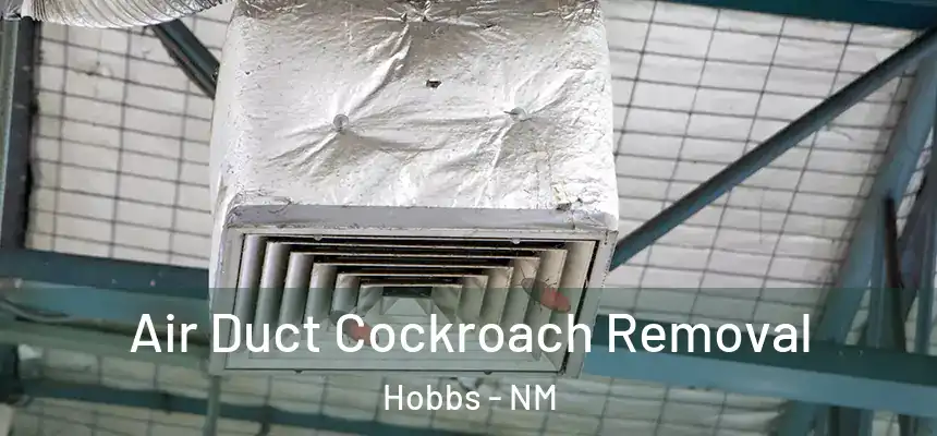 Air Duct Cockroach Removal Hobbs - NM