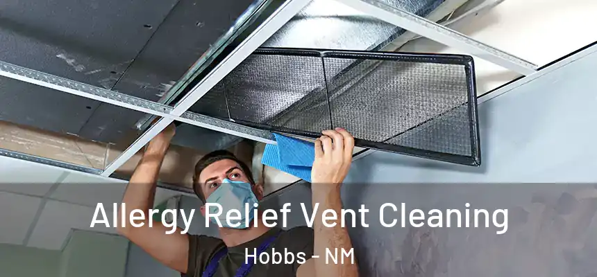 Allergy Relief Vent Cleaning Hobbs - NM