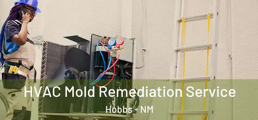 HVAC Mold Remediation Service Hobbs - NM