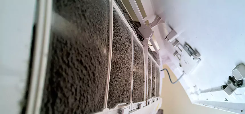 Preventive Air Duct Bacteria Removal in Hobbs