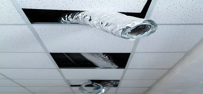 Affordable HVAC Sanitizing After Pest Removal in Hobbs