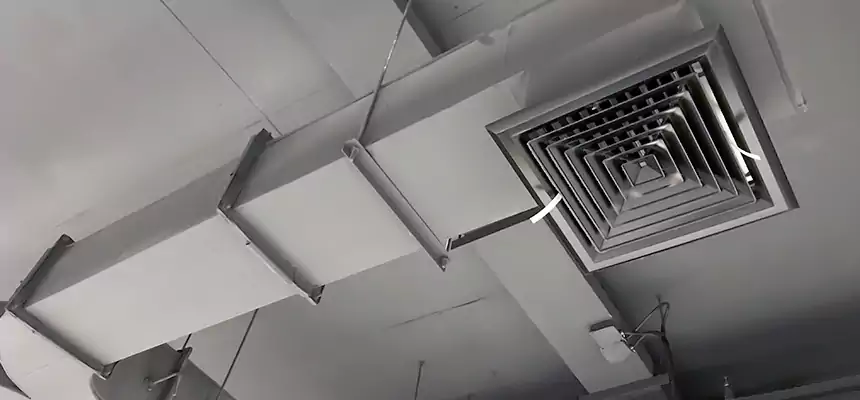 Restorative Allergy Relief Vent Cleaning – Coil, Blower & Housing Detail in Hobbs