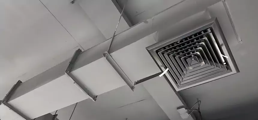 Our Rodent Droppings In Vents Services in Hobbs, NM