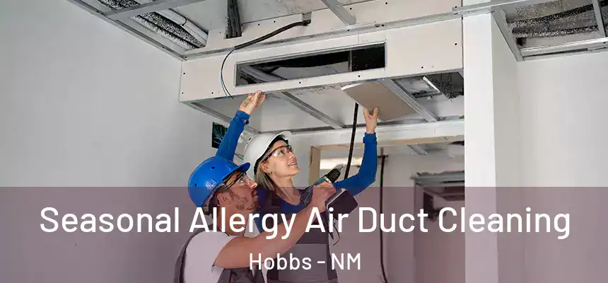 Seasonal Allergy Air Duct Cleaning Hobbs - NM