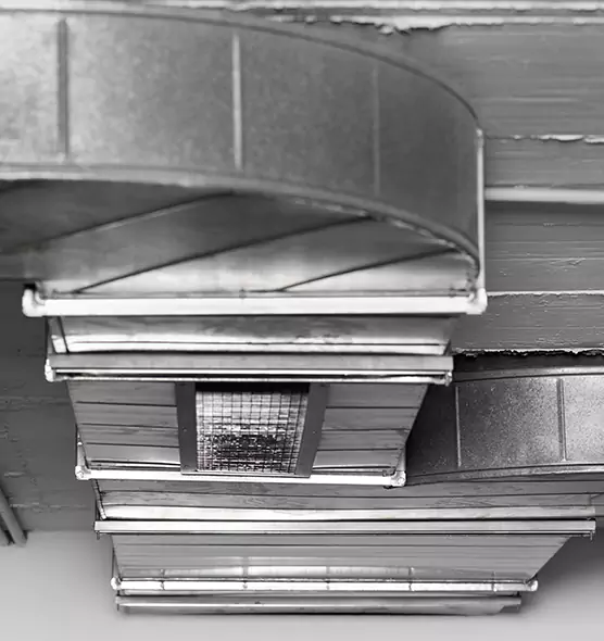 Professional Air Duct Pest Removal in Hobbs, NM