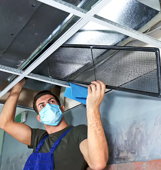 Professional Air Duct Pollen Cleaning in Hobbs, NM