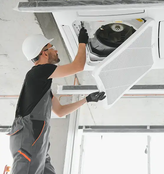 About Air Duct Rodent Removal in Hobbs, NM