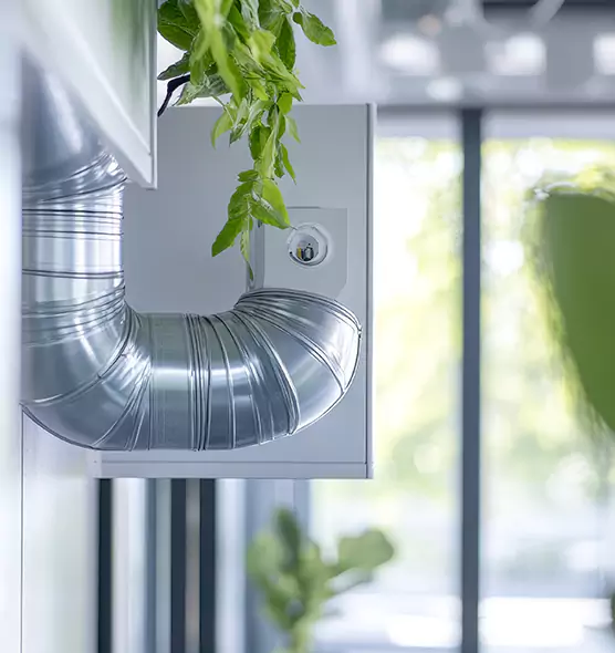 Professional Eco-Safe Dryer Vent Cleaning in Hobbs, NM