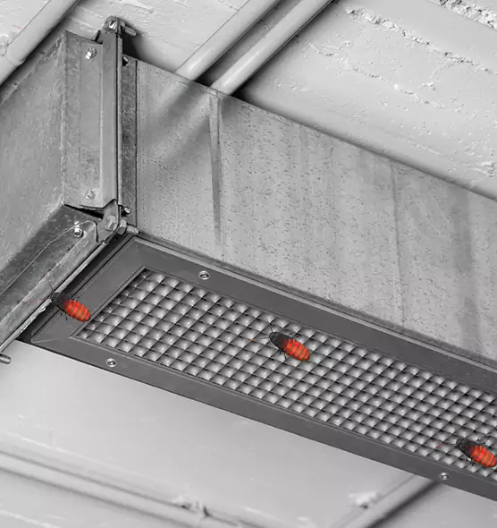 Affordable Insect Removal from Air Ducts in Hobbs, NM