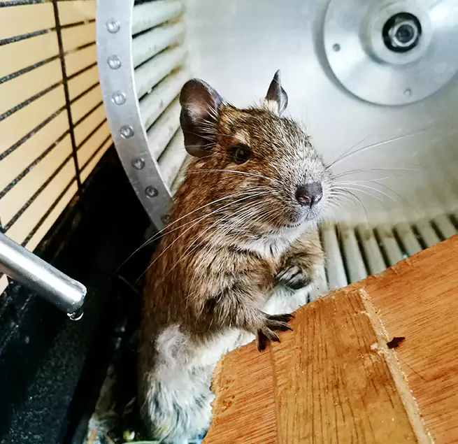 Why Homeowners & Businesses Trust Us Hobbs, NM